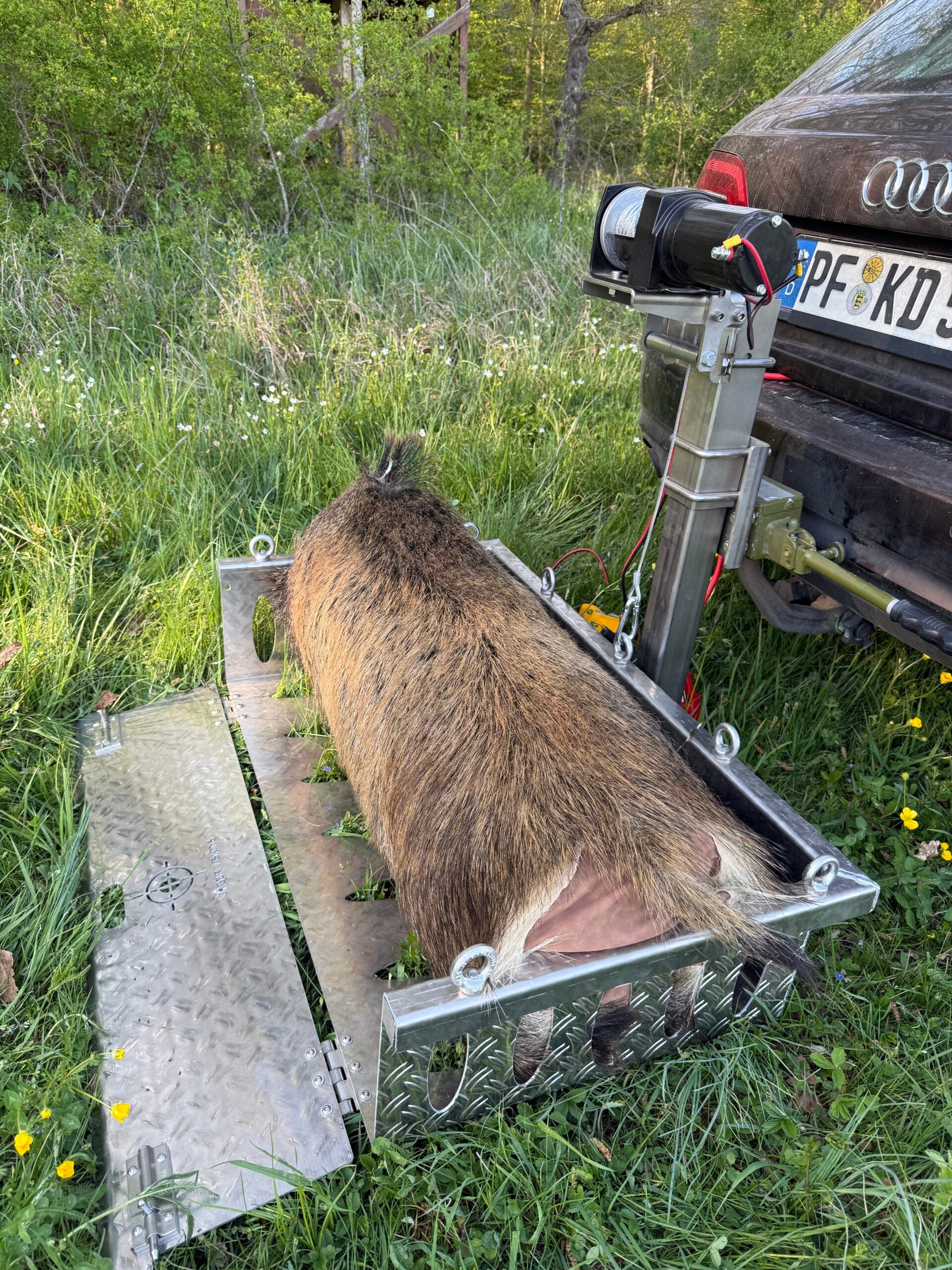 Wildgalgen Flex im Einsatz am Fahrzeug